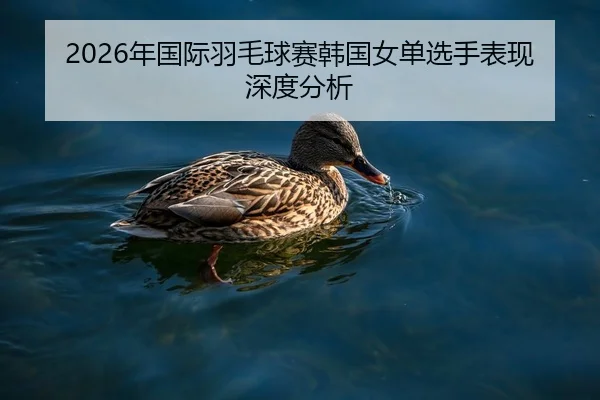 nian-guo-ji-yu-mao-qiu-sai-han-guo-nv-dan-xuan-shou-biao-xian-shen-du-fen-xi-2-281.jpg
