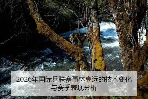 2026年国际乒联赛事林高远的技术变化与赛季表现分析