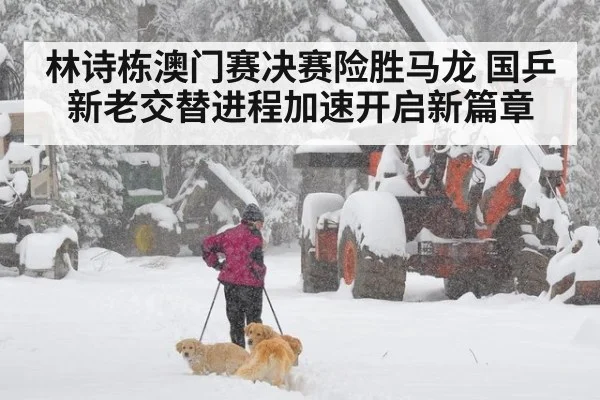 林诗栋澳门赛决赛险胜马龙 国乒新老交替进程加速开启新篇章